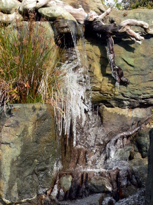Taprock December Water Display