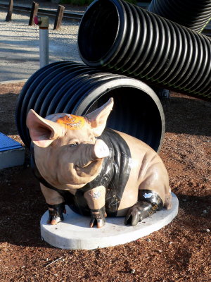 Pig Sculpture In Grants Pass