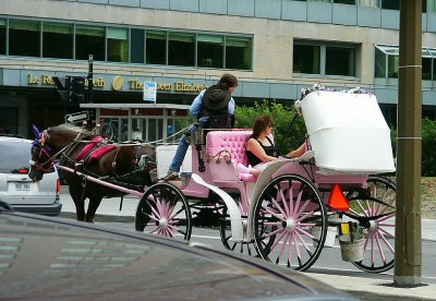 Montreal Carriage Ride
