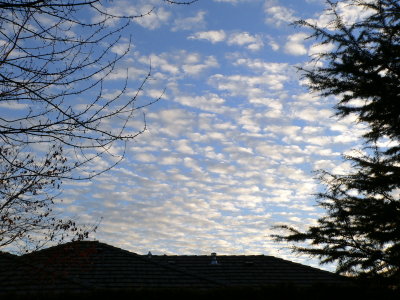 Buttermilk Sky in Medford OR
