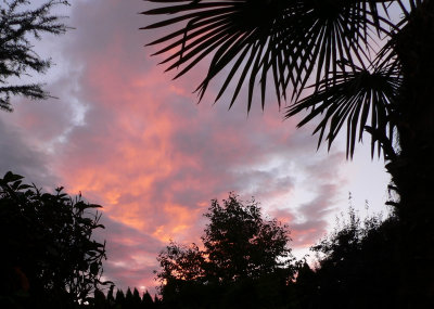 August Medford OR Sunset