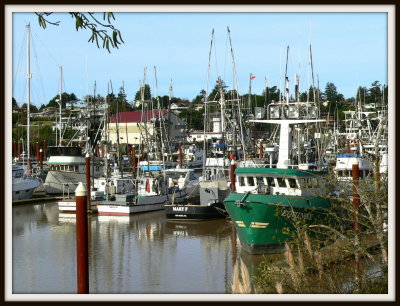 Brookings Harbor Mary F and Equinox