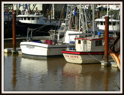 Brookings Harbor Catalyst and New Hope