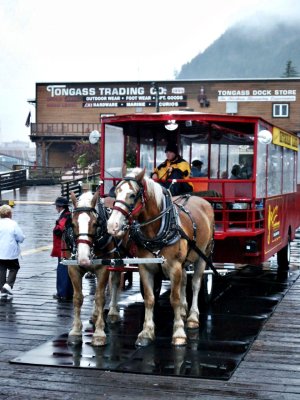 Horse drawn trolley