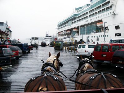 Horse drawn tour of docks