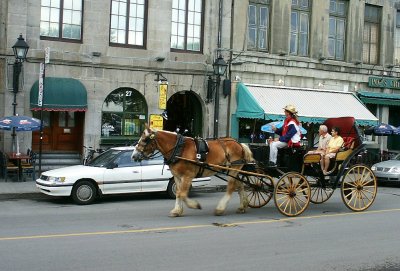 Carriage Ride In Montreal