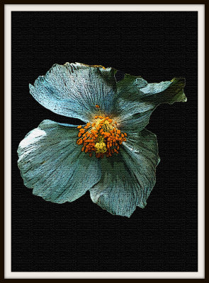 Artistic_Blue Flower