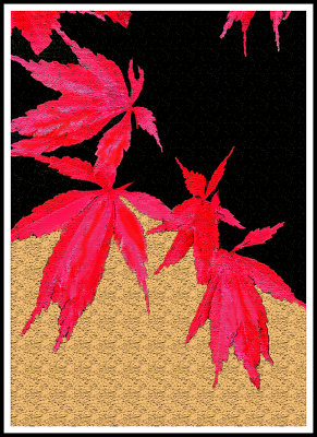 Artistic_Japanese Maple Leaves