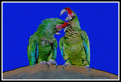 Artistic_Green Parrots