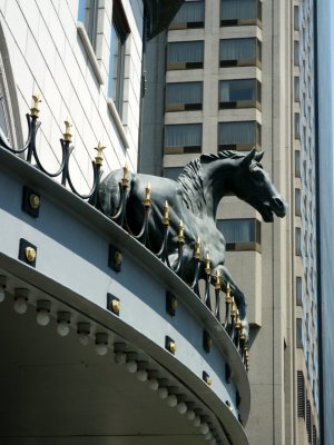 Horse on facade in Montreal