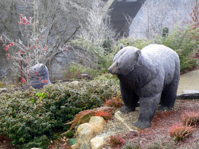 Taprock Bears in December