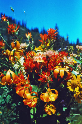 Gray Eagle Mountain Bouquet