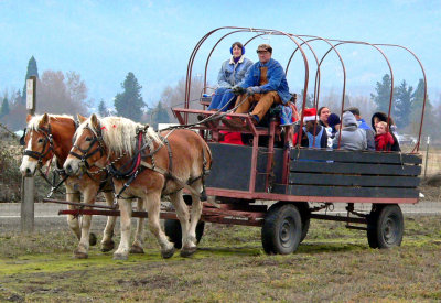 Hanley Farms Wagon Ride