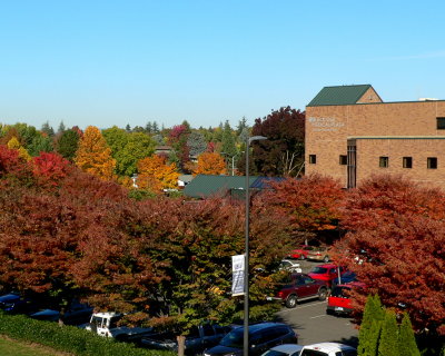 Black Oak Medical Center in Fall