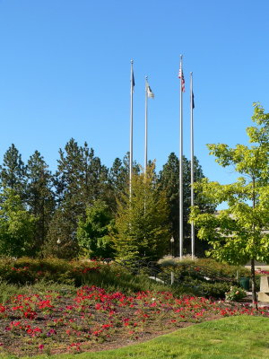 City Hall Flag Pole Display