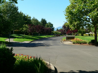 Morning Shadows in Alder Creek East