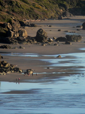 Sand walkers at low tide on Harris Beach2
