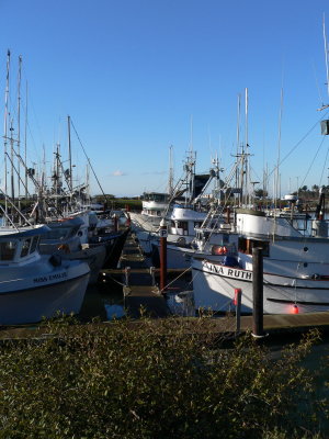 Nose to nose fishing boats