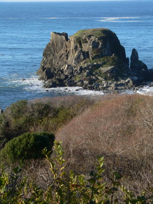 Harris Beach rock formation