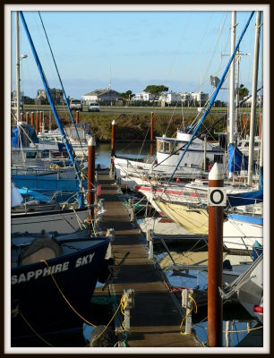 Waiting for the fishermen to go to sea