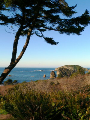 Harris Beach Ocean Overlook