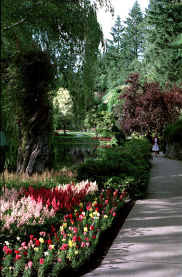 Butchart Garden-Path