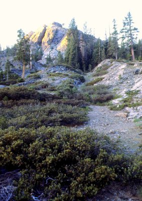 Gray Eagle back trail at sunset