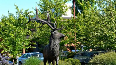 Taprock Deer Statue