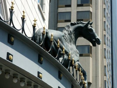 Horse on facade in Montreal