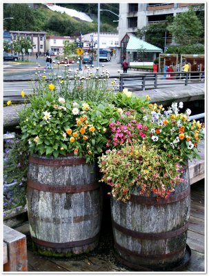 Barrels of flowers decorate the dock walkway