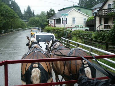 Carriage ride on Married Kids Trail in Ketchikan