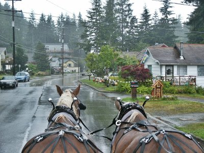 Carriage Ride on Married Kids Trail2