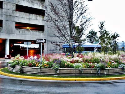 Planting Circle in front of Juneau Public Library