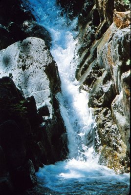 Fern Falls Cascade