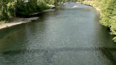 g9/14/864514/3/163366241.cX5h2VFU.jpg