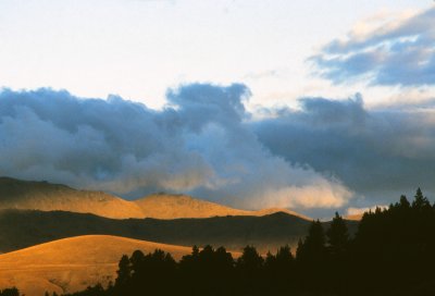 New Zealand South Island Afternoon View