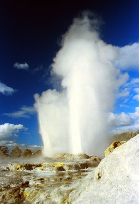 New Zealand Rotorua Geyser display