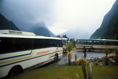 New Zealand Milford Tour Buses.jpg