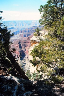 North Rim of Grand Canyon-03