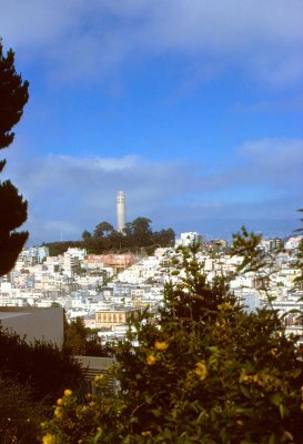 San Francisco View toward Coit Tower2