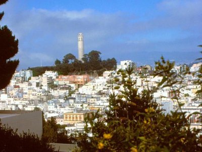 San Francisco View toward Coit Tower2-001