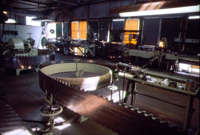 Scotia Saw Mill.jpg