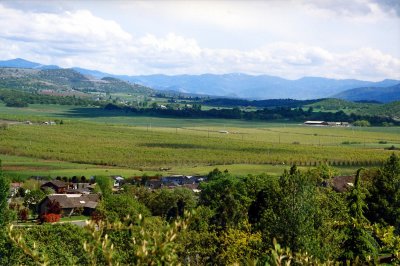 Manor East view-02