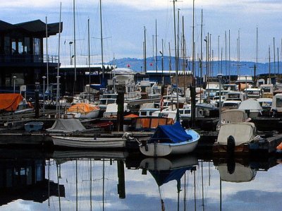 Victoria Boat Basin-003