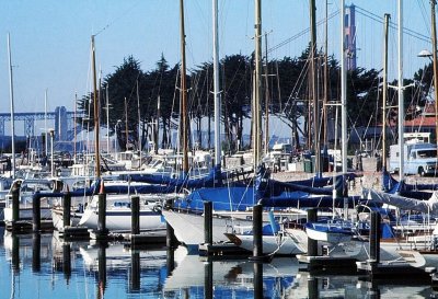 SF yacht basin sail boats