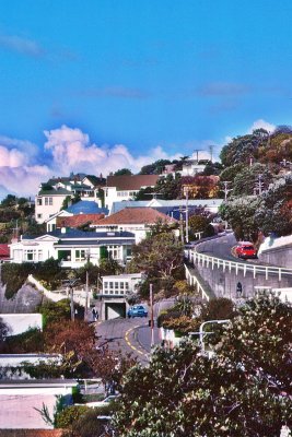 Sydney Hillside Living