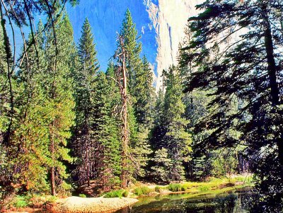 Yosemite morning on the river