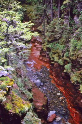 Peace Park red rock gorge