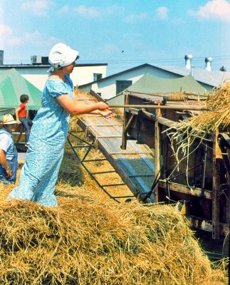 Kutztown Amish Hay Bailing3