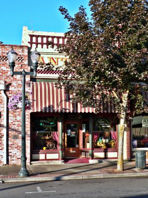 Stovepipe Antiques Store